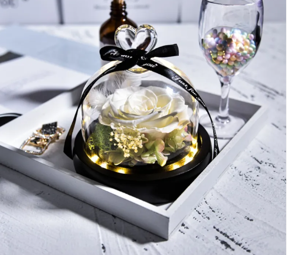 Preserved Rose in Glass Dome