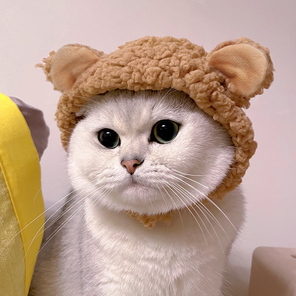 Cute Pet Costume Hat