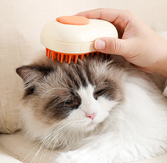 Steam Spray Pet Grooming Brush