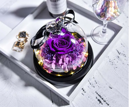 Preserved Rose in Glass Dome
