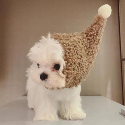 Cute Pet Costume Hat